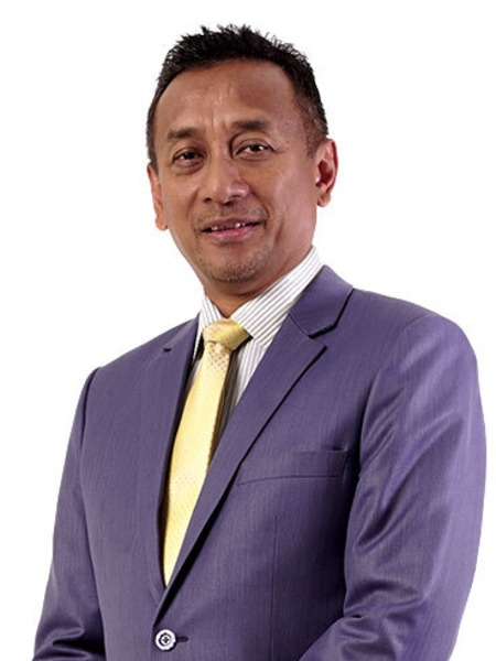 Professor Dato' Dr. Mohamed Ezani bin Md. Taib